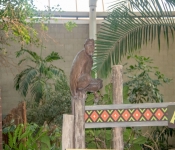 2019 02 21 MNNewZoo 042